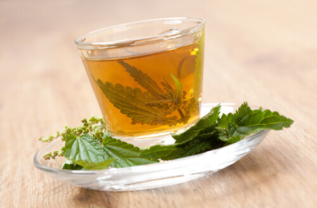 14 Advantages to Stinging Nettle